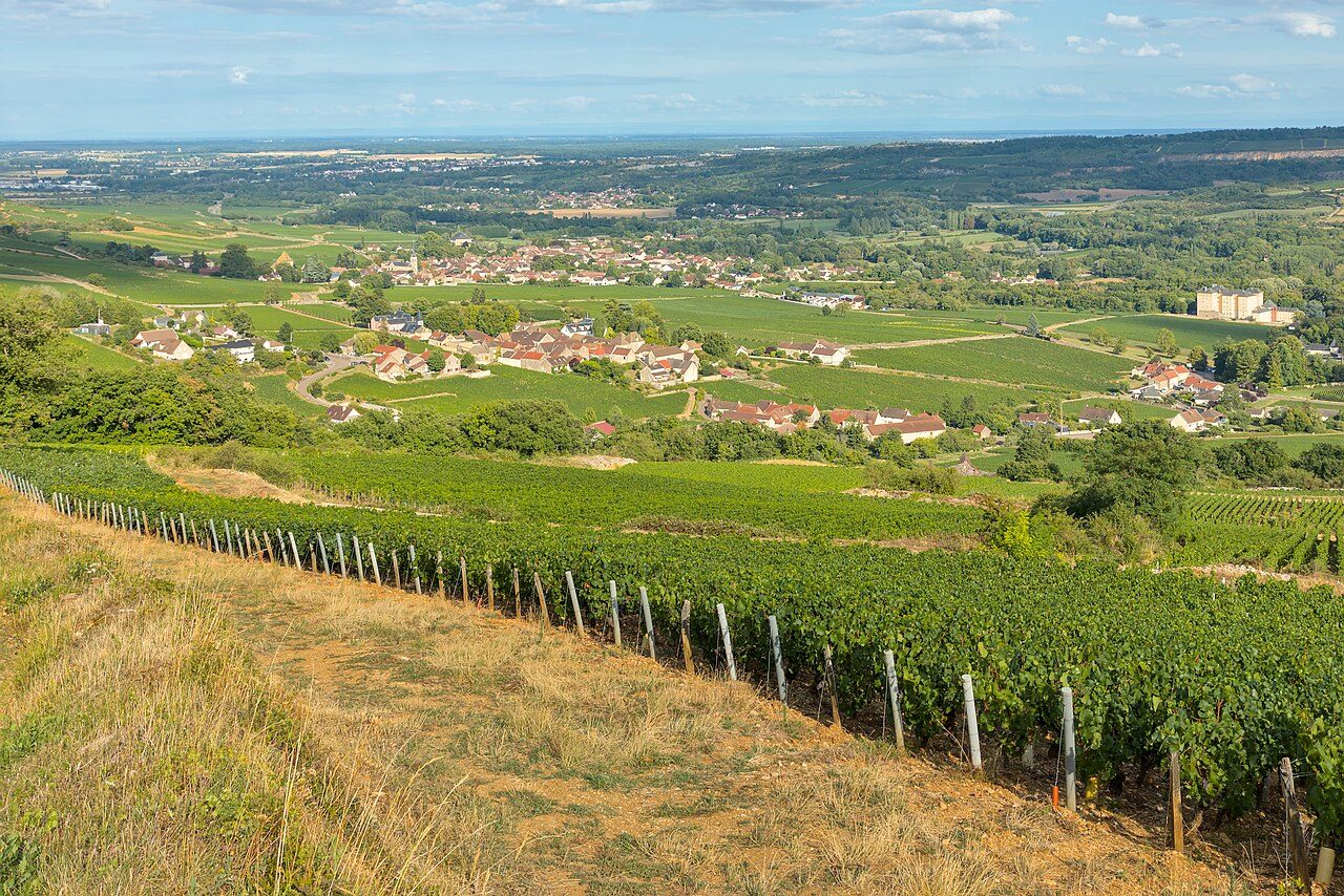 The village of Santenay among vineyards in Burgundy, seen from the Mont de Sène